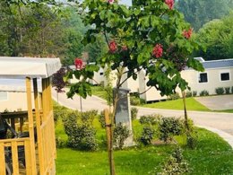 Camping Pas Cher vous présente avec son site Officiel campingpascher.fr, le Camping Ushuaïa Villages Domaine Du Blanc Pignon classé 2 étoiles, situé sur la commune de La Calotterie dans le département Pas-de-calais (Nord Pas De Calais) en France. Le camping Ushuaïa Villages Domaine Du Blanc Pignon, vous présente un hébergement de type lodge. Le camping Ushuaïa Villages Domaine Du Blanc Pignon vous propose du sam. 02 mai au sam. 09 mai 2026 pour 7 nuits à 249€. Cette location propose 100 dates différentes pour réserver votre séjour. Découvrez également les 5 autres gammes d'hébergements du camping. Les Avis clients pour le Camping Ushuaïa Villages Domaine Du Blanc Pignon sont excellents avec une note moyenne de 8 sur 10. Piscine chauffée, Piscine extérieure, Animation enfants, Animations familiales, Aire de jeux enfants, Pétanque, Boulangerie, Dépôt de pain, Supermarché, Épicerie,... En savoir plus : cliquez-ICI.