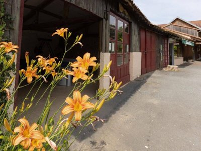 camping Dordogne Les Deux Vallées photo 6