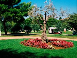 Camping Pas Cher vous présente avec son site Officiel campingpascher.fr, le Camping Koversada Park Resort classé 4 étoiles, situé sur la commune de Vrsar dans le département Istrie (Istrie) en Croatie. Le camping Koversada Park Resort, vous présente un hébergement de type tente en toile et bois. Le camping Koversada Park Resort vous propose du lundi 20 avril au lundi 27 avril 2026, en promotion à -15% pour 7 nuits à 287,38 € au lieu de 338,1 € soit une Économie de 50,72 €. Cette location propose 111 dates différentes pour réserver votre séjour. Découvrez également les 1 autres gammes d'hébergements du camping.... En savoir plus : cliquez-ICI.