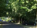 Cliquez pour découvrir toutes les photos de l'ÉTABLISSEMENT ! camping Du Lac Pouzauges photo 4