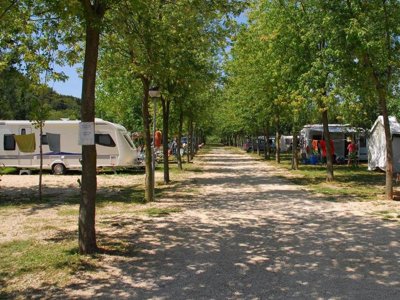 Cliquez pour découvrir toutes les photos de l'ÉTABLISSEMENT ! camping Iris Park photo 9