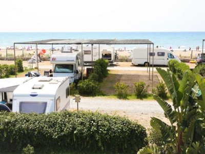 Cliquez pour découvrir toutes les photos de l'ÉTABLISSEMENT ! camping 3 Estrellas photo 7
