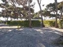 Cliquez pour découvrir toutes les photos de l'ÉTABLISSEMENT ! camping 3 Estrellas photo 2