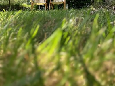 Cliquez pour découvrir toutes les photos de l'ÉTABLISSEMENT ! camping Natur'camp Alsace photo 2