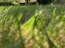 Cliquez pour découvrir toutes les photos de l'ÉTABLISSEMENT ! camping Natur'camp Alsace photo 2
