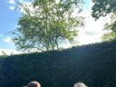 Cliquez pour découvrir toutes les photos de l'HÉBERGEMENT ! chalet - camping Natur'camp Alsace photo 11