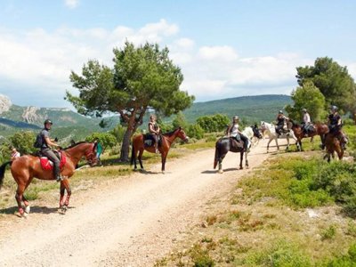 Cliquez pour découvrir toutes les photos de l'ÉTABLISSEMENT ! village vacances FranceComfort Domaine De Castellane photo 27