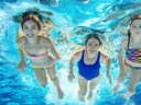 Cliquez pour découvrir toutes les photos de l'ÉTABLISSEMENT ! village vacances FranceComfort Domaine De Castellane photo 6