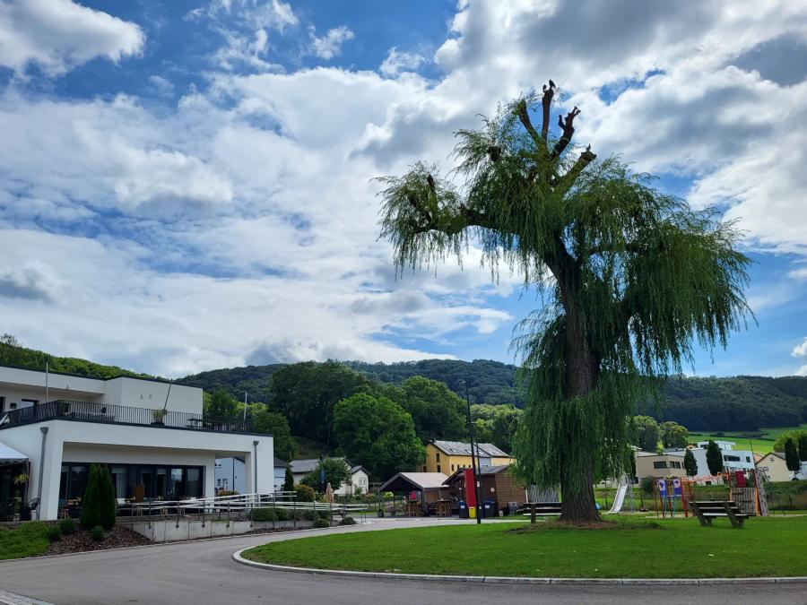 Camping Pas Cher vous présente avec son site Officiel campingpascher.fr, le Établissement Europe Tents Gritt, situé sur la commune de Ingeldorf dans le département Luxembourg (Luxembourg) en Luxembourg. L'établissement Europe Tents Gritt vous propose un hébergement de type tente. L'établissement vous propose 2 autres types d'hébergements. Découvrez tous nos séjours à petits prix dans la commune et aux alentours de Ingeldorf du département : Luxembourg (Luxembourg).... En savoir plus : cliquez-ICI.