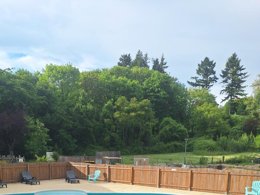Camping Pas Cher vous présente avec son site Officiel campingpascher.fr, le Camping Le Rivage Civraisien classé 3 étoiles, situé sur la commune de Civray dans le département Vienne (Poitou Charentes) en France. Le camping Le Rivage Civraisien, vous présente un hébergement de type bungalow toilé de 20 m². Le camping Le Rivage Civraisien vous propose du vendredi 05 juin au vendredi 12 juin 2026 avec un DÉPART DEMAIN pour 7 nuits à 237.3€. Cette location propose 34 dates différentes pour réserver votre séjour. Découvrez également les 4 autres gammes d'hébergements du camping. Les Avis clients pour le Camping Le Rivage Civraisien sont excellents avec une note moyenne de 8 sur 10. Rivière, Piscine extérieure, Animation enfants, Animations familiales, Aire de jeux enfants, Canoë-kayak, Cyclisme, Ping-pong, Pétanque, Randonnée, Terrain multisports, Bar, Dépôt de pain, Restaurant, Snack/Bar, Épicerie,... En savoir plus : cliquez-ICI.