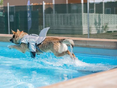 Cliquez pour découvrir toutes les photos de l'ÉTABLISSEMENT ! camping Caldonazzo Family Collection photo 15