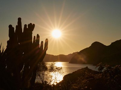 Cliquez pour découvrir toutes les photos de l'ÉTABLISSEMENT ! camping TAIGA Costa Calida photo 22