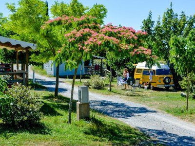 mobil-home - Domaine De Chadeyron - Et Gîtes photo 2