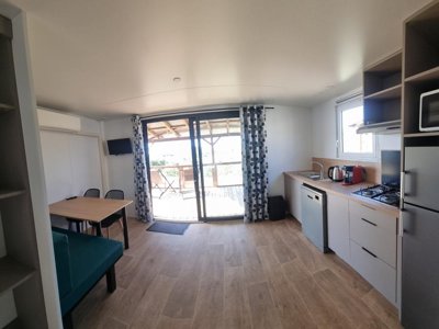 mobil-home - Domaine De Chadeyron - Et Gîtes photo 10