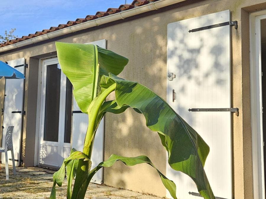 Camping Pas Cher vous présente avec son site Officiel campingpascher.fr, le Village vacances Et Camping Couleurs Vendée, situé sur la commune de Mareuil Sur Lay Dissais dans le département Vendée (Pays De La Loire) en France. Le village vacances Et Camping Couleurs Vendée, vous présente un hébergement de type maison de 36 m² pour 5 personnes. Le village vacances Et Camping Couleurs Vendée vous propose du vendredi 05 juin au vendredi 12 juin 2026 avec un DÉPART DEMAIN pour 7 nuits à 448.5€. Cette location propose 125 dates différentes pour réserver votre séjour. Découvrez également les 4 autres gammes d'hébergements du village vacances. Piscine chauffée, Piscine extérieure, Animation enfants, Aire de jeux enfants, Ping-pong, Pétanque, Structure gonflable enfants, Bar, Dépôt de pain, Restaurant, Snack/Bar,... En savoir plus : cliquez-ICI.