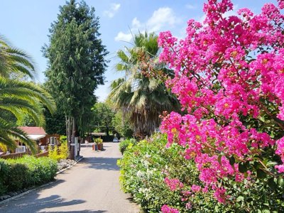 Cliquez pour découvrir toutes les photos de l'ÉTABLISSEMENT ! camping City Nature photo 2