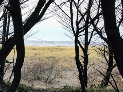 camping VVF Les Dunes Créances photo 12