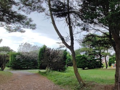 camping VVF Les Dunes Créances photo 3
