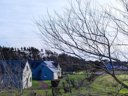 Camping Pas Cher vous présente avec son site Officiel campingpascher.fr, le Camping VVF Les Dunes Créances, situé sur la commune de Creances dans le département Manche (Basse Normandie) en France. Le camping VVF Les Dunes Créances, vous présente un hébergement de type tente de 9 m². Le camping VVF Les Dunes Créances vous propose du jeudi 04 juin au jeudi 11 juin 2026 avec un DÉPART DEMAIN pour 7 nuits à 175€. Cette location propose 135 dates différentes pour réserver votre séjour. Découvrez également les 5 autres gammes d'hébergements du camping. Mer, Animations familiales, Aire de jeux enfants, Baby-foot, Canoë-kayak, Ping-pong, Pétanque, Terrain de volley-ball, kiteSurf, Bar, Snack/Bar, Supermarché,... En savoir plus : cliquez-ICI.