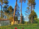 Cliquez pour découvrir toutes les photos de l'HÉBERGEMENT ! maison - camping Domaine Du Lac photo 8