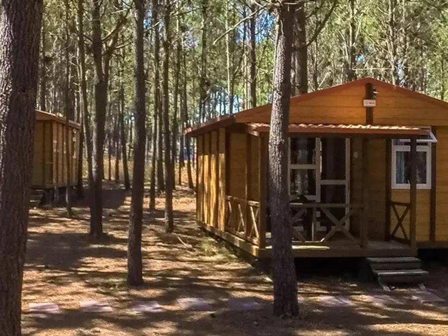 Camping Pas Cher vous présente avec son site Officiel campingpascher.fr, le Camping Por El Parque De Campismo São Miguel classé 3 étoiles, situé sur la commune de Odemira dans le département Alentejo (Alentejo) au Portugal. Le camping Por El Parque De Campismo São Miguel, vous présente un hébergement de type bungalow de 25 m². Le camping Por El Parque De Campismo São Miguel vous propose du sam. 13 juin au sam. 20 juin 2026 pour 7 nuits à 648€. Cette location propose 65 dates différentes pour réserver votre séjour. Découvrez également les 6 autres gammes d'hébergements du camping. Piscine extérieure, Terrain multisports, Bar, Restaurant, Épicerie,... En savoir plus : cliquez-ICI.