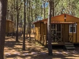 Camping Pas Cher vous présente avec son site Officiel campingpascher.fr, le Camping Por El Parque De Campismo São Miguel classé 3 étoiles, situé sur la commune de Odemira dans le département Alentejo (Alentejo) au Portugal. Le camping Por El Parque De Campismo São Miguel, vous présente un hébergement de type bungalow de 25 m². Le camping Por El Parque De Campismo São Miguel vous propose du lundi 06 avril au lundi 13 avril 2026 pour 7 nuits à 535€. Cette location propose 128 dates différentes pour réserver votre séjour. Découvrez également les 7 autres gammes d'hébergements du camping. Piscine extérieure, Terrain multisports, Bar, Restaurant, Épicerie,... En savoir plus : cliquez-ICI.