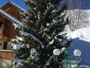 Cliquez pour découvrir toutes les photos de l'ÉTABLISSEMENT ! résidence Chalet Odalys Erika photo 2