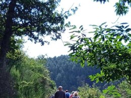 Camping Pas Cher vous présente avec son site Officiel campingpascher.fr, le Camping L'Échapée Verte classé 3 étoiles, situé sur la commune de Pleaux dans le département Cantal (Auvergne) en France. Le camping L'Échapée Verte vous propose un hébergement de type mobil-home de 30 m² (télévision). L'établissement vous propose 7 autres types d'hébergements. Découvrez tous nos séjours à petits prix dans la commune et aux alentours de Pleaux du département : Cantal (Auvergne). Piscine chauffée, Piscine extérieure, Animation enfants, Animations familiales, Aire de jeux enfants, Baby-foot, Centre équestre, Court de tennis, Location de bateaux, Ping-pong, Pétanque, Randonnée, Skatepark, Sports nautiques, Terrain de basketball, Terrain de football, Terrain multisports, Épicerie,... En savoir plus : cliquez-ICI.