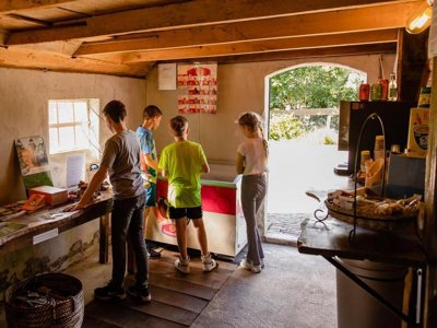 Cliquez pour découvrir toutes les photos de l'ÉTABLISSEMENT ! village vacances Charmecamping & Appartementen De Regge-Vallei photo 16