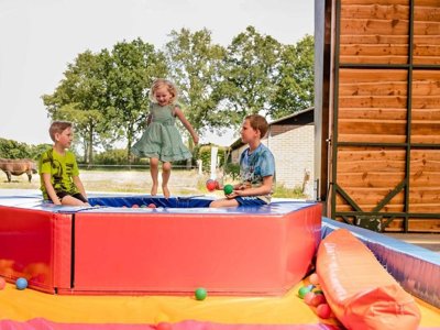 Cliquez pour découvrir toutes les photos de l'ÉTABLISSEMENT ! village vacances Charmecamping & Appartementen De Regge-Vallei photo 5