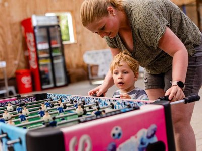Cliquez pour découvrir toutes les photos de l'ÉTABLISSEMENT ! village vacances Charmecamping & Appartementen De Regge-Vallei photo 7