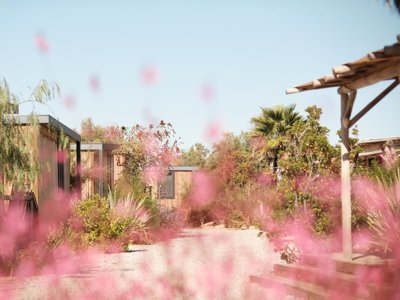 Cliquez pour découvrir toutes les photos de l'ÉTABLISSEMENT ! camping Blendin Retreat Agde photo 10