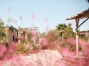Cliquez pour découvrir toutes les photos de l'ÉTABLISSEMENT ! camping Blendin Retreat Agde photo 10
