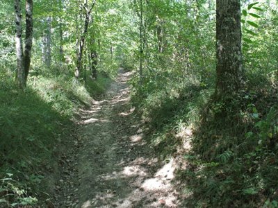 Cliquez pour découvrir toutes les photos de l'ÉTABLISSEMENT ! camping Les Fées Du Moulin photo 2