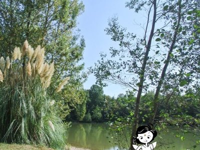Cliquez pour découvrir toutes les photos de l'ÉTABLISSEMENT ! camping Les Fées Du Moulin photo 3