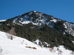 Camping Pas Cher vous présente avec son site Officiel campingpascher.fr, la Résidence Pierre & Vacances La Merceria, située sur la commune de El Tarter dans le département Andorre (Andorre) en Andorre. La résidence Pierre & Vacances La Merceria, vous présente un hébergement de type appartement de 38 m² et télévision. La résidence Pierre & Vacances La Merceria vous propose du dimanche 20 septembre au dimanche 27 septembre 2026 pour 7 nuits à 373€. Cette location propose 252 dates différentes pour réserver votre séjour. Découvrez également les 2 autres gammes d'hébergements de la résidence. Golf, Randonnée,... En savoir plus : cliquez-ICI.
