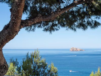 Cliquez pour découvrir toutes les photos de l'ÉTABLISSEMENT ! résidence Pierre & Vacances Benidorm Horizon photo 6
