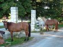 camping Brantôme Far Ouest photo 3