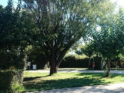 Cliquez pour découvrir toutes les photos de l'ÉTABLISSEMENT ! camping City photo 10