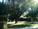 Cliquez pour découvrir toutes les photos de l'ÉTABLISSEMENT ! camping City photo 10