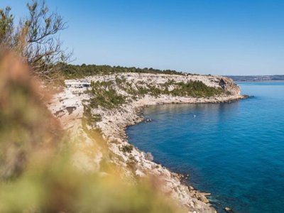 Cliquez pour découvrir toutes les photos de l'ÉTABLISSEMENT ! camping VVF Port-Leucate photo 4