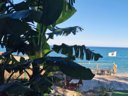 Cliquez pour découvrir toutes les photos de l'ÉTABLISSEMENT ! camping Naturiste Calella photo 7