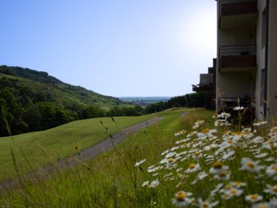Cliquez pour découvrir toutes les photos de l'ÉTABLISSEMENT ! résidence Goélia - Le Domaine Du Golf photo 27