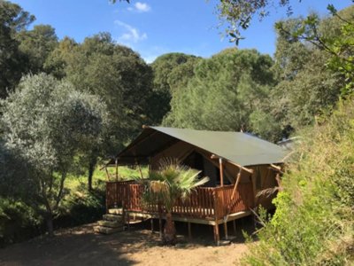 camping Les Lauriers Roses photo 15