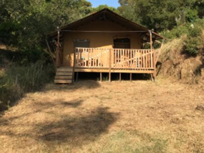 camping Les Lauriers Roses photo 16