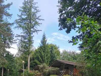 chalet - Les Sapins De Corrèze photo 2