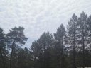 camping Les Sapins De Corrèze photo 2