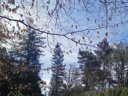 camping Les Sapins De Corrèze photo 5