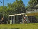 Cliquez pour découvrir toutes les photos de l'ÉTABLISSEMENT ! camping Italia Lido photo 7