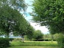 Cliquez pour découvrir toutes les photos de l'ÉTABLISSEMENT ! camping Baroudeurs photo 7